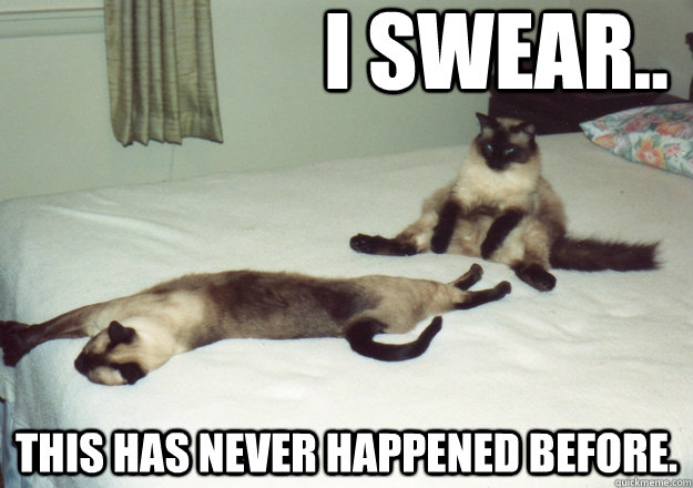 I swear.. This has never happened before. - I swear.. This has never happened before.  I swear cat.