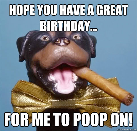 HOPE YOU HAVE A GREAT BIRTHDAY... for me to poop on!  