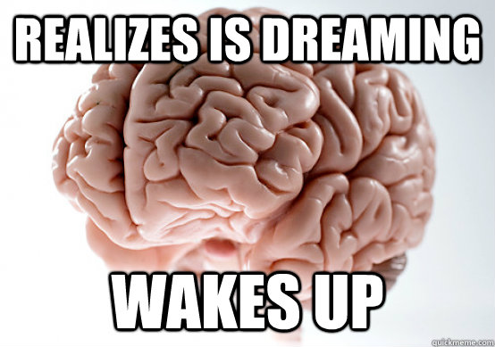 Realizes is dreaming  WAKES UP  