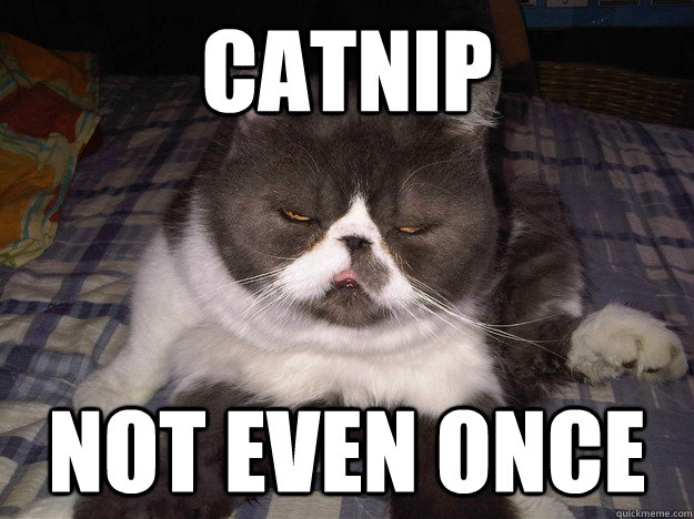 CATnip Not even once - CATnip Not even once  Misc