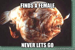 Finds a Female Never Lets Go  