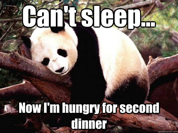 Can't sleep... Now I'm hungry for second dinner - Can't sleep... Now I'm hungry for second dinner  Procrastination Panda