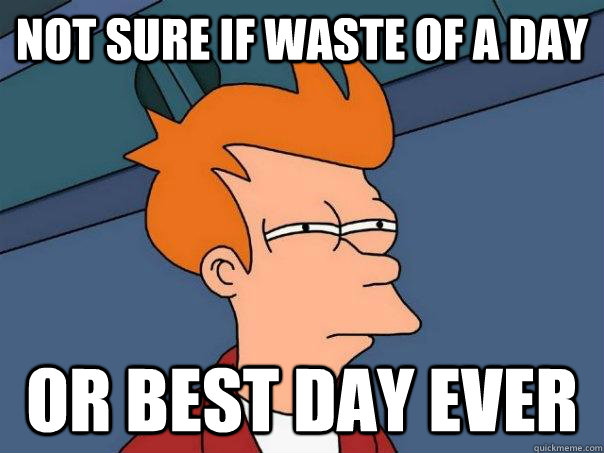 Not sure if waste of a day or best day ever - Not sure if waste of a day or best day ever  Futurama Fry