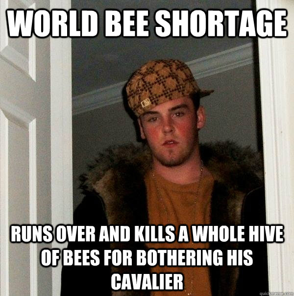world bee shortage runs over and kills a whole hive of bees for bothering his cavalier  Scumbag Steve