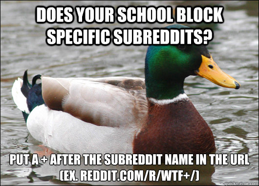 Does your school block specific subreddits? Put a + after the subreddit name in the URL
(ex. reddit.com/r/WTF+/)  Actual Advice Mallard