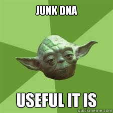 JUNK DNA USEFUL IT IS - JUNK DNA USEFUL IT IS  BIRTHDAY YODA
