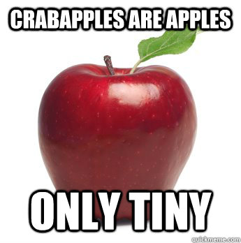 crabapples are apples  only tiny  