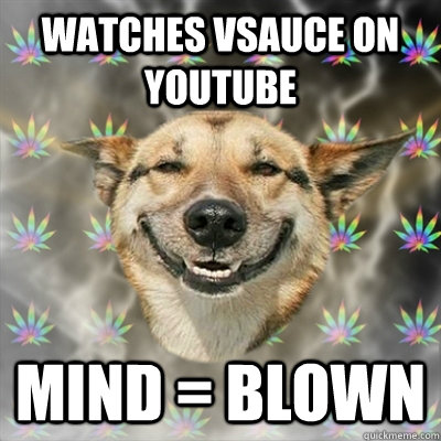 Watches vsauce on youtube mind = blown  Stoner Dog