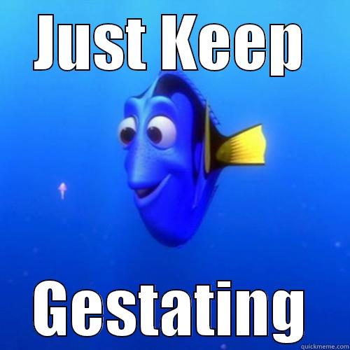 JUST KEEP GESTATING dory