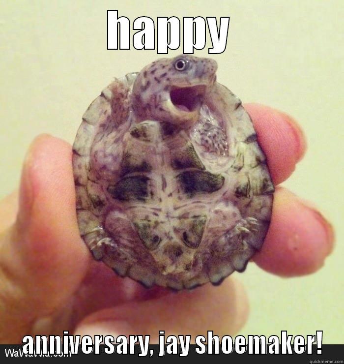 happy turtle - quickmeme