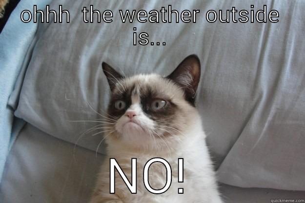 OHHH  THE WEATHER OUTSIDE IS... NO! Grumpy Cat