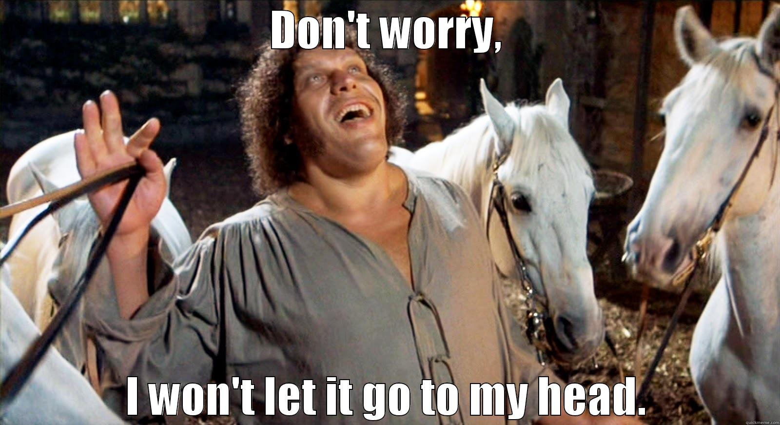 DON'T WORRY, I WON'T LET IT GO TO MY HEAD. Misc