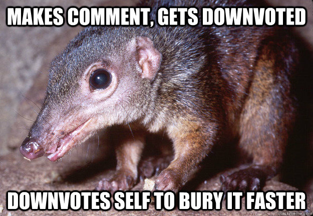 Makes comment, gets downvoted Downvotes self to bury it faster  Shrewd Shrew
