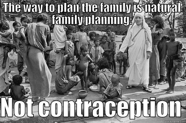 THE WAY TO PLAN THE FAMILY IS NATURAL FAMILY PLANNING:  NOT CONTRACEPTION Misc