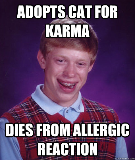 Adopts cat for karma dies from allergic reaction   Bad Luck Brian