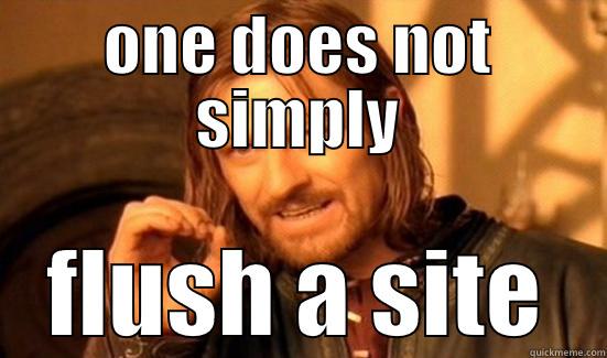 flush db - ONE DOES NOT SIMPLY FLUSH A SITE Boromir