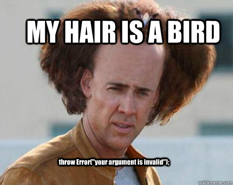 MY HAIR IS A BIRD throw Error(