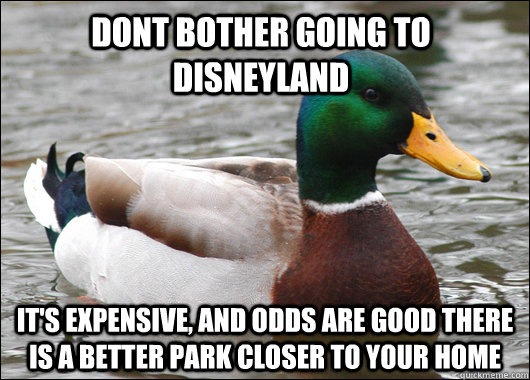 dont bother going to disneyland it's expensive, and odds are good there is a better park closer to your home - dont bother going to disneyland it's expensive, and odds are good there is a better park closer to your home  Actual Advice Mallard
