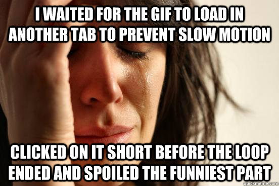 I WAITED FOR THE GIF TO LOAD IN ANOTHER TAB TO PREVENT SLOW MOTION CLICKED ON IT SHORT BEFORE THE LOOP ENDED AND SPOILED THE FUNNIEST PART  First World Problems
