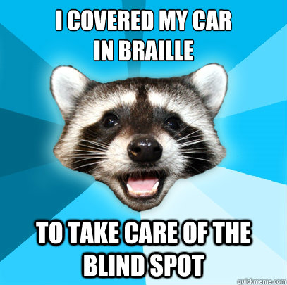 I COVERED MY CAR 
IN BRAILLE TO TAKE CARE OF THE BLIND SPOT  Lame Pun Coon