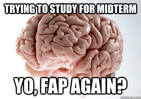 TRYING TO STUDY FOR MIDTERM YO, FAP AGAIN?   Scumbag Brain