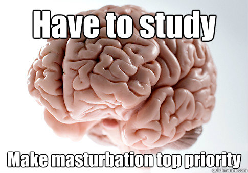 Have to study Make masturbation top priority   Scumbag Brain