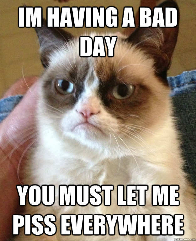 im having a bad day you must let me piss everywhere  Grumpy Cat