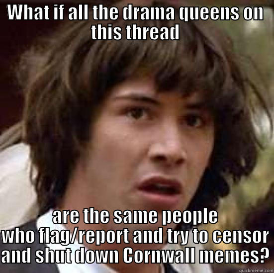WHAT IF ALL THE DRAMA QUEENS ON THIS THREAD ARE THE SAME PEOPLE WHO FLAG/REPORT AND TRY TO CENSOR AND SHUT DOWN CORNWALL MEMES? conspiracy keanu