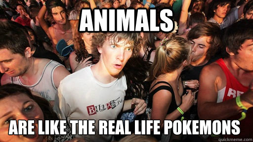 Animals Are like the real life pokemons  Sudden Clarity Clarence