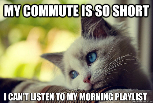 my commute is so short i can't listen to my morning playlist  First World Problems Cat