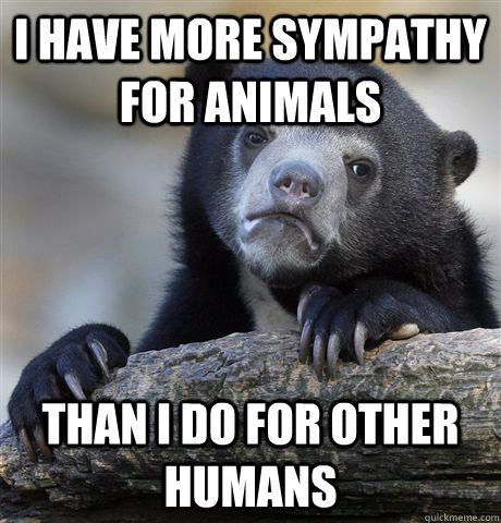 I have more sympathy for animals than i do for other humans  Confession Bear