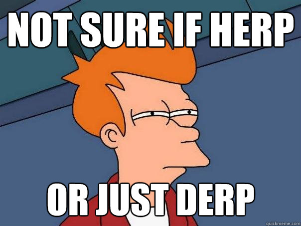 not sure if herp or just derp - not sure if herp or just derp  Futurama Fry