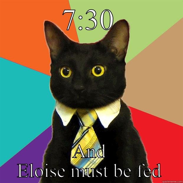 7:30 AND ELOISE MUST BE FED Business Cat