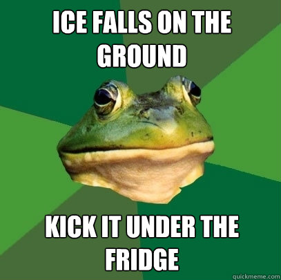 Ice falls on the ground Kick it under the fridge  Foul Bachelor Frog