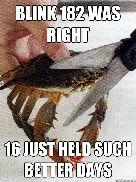 blink 182 was right 16 just held such better days  Optimistic Crab