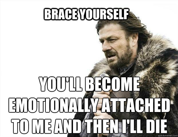 BRACE YOURSELf You'll become emotionally attached to me and then I'll die  BRACE YOURSELF SOLO QUEUE