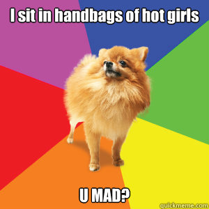 I sit in handbags of hot girls U MAD?  