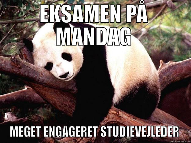 EKSAMEN PÅ MANDAG MEGET ENGAGERET STUDIEVEJLEDER Procrastination Panda