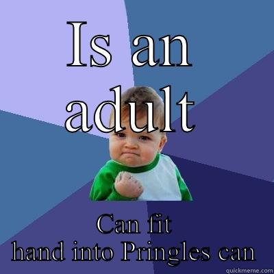 IS AN ADULT CAN FIT HAND INTO PRINGLES CAN Success Kid