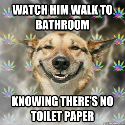 Watch him walk to bathroom Knowing there's no Toilet paper   Stoner Dog
