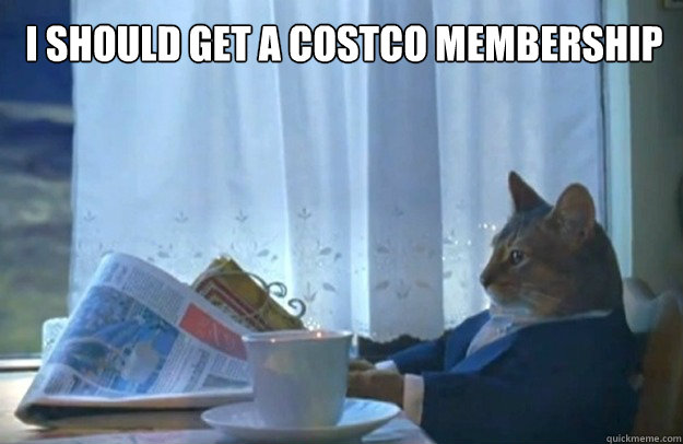 i should get a costco membership  Sophisticated Cat