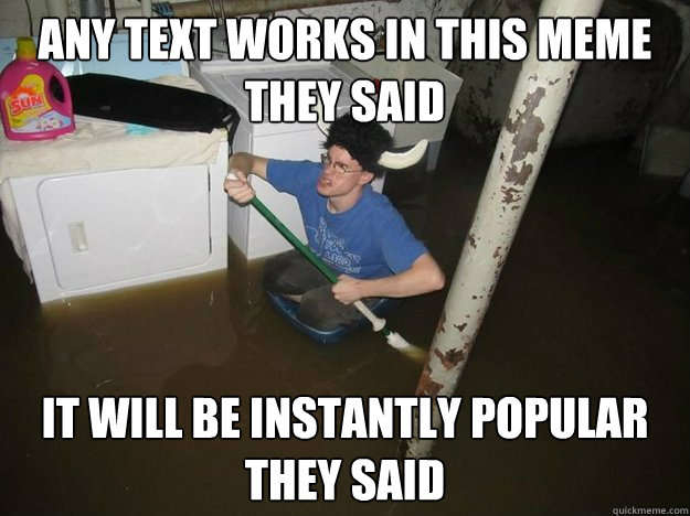 Any Text works in this meme they said It will be instantly popular they said  Laundry Room Viking