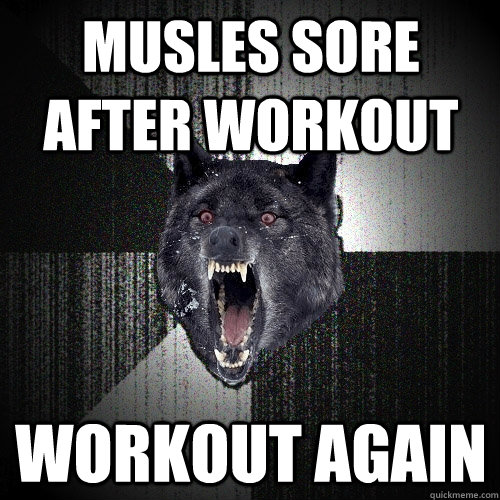 musles sore after workout workout again - musles sore after workout workout again  Insanity Wolf