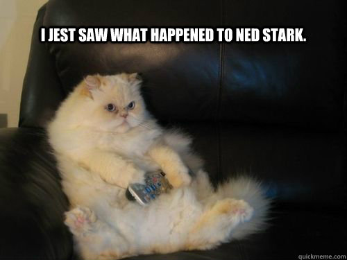 I jest saw what happened to Ned Stark.  Disapproving TV Cat