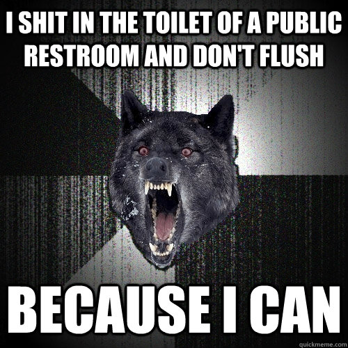 i shit in the toilet of a public restroom and don't flush because i can  Insanity Wolf