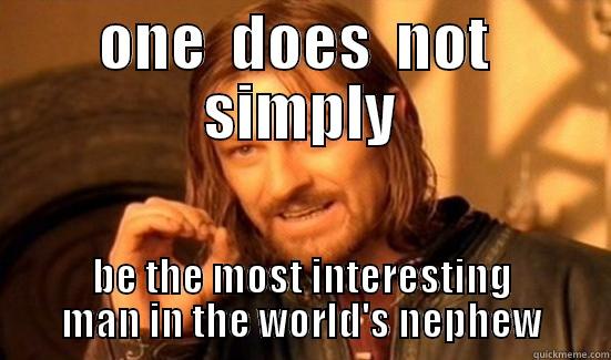 ONE  DOES  NOT  SIMPLY BE THE MOST INTERESTING MAN IN THE WORLD'S NEPHEW Boromir