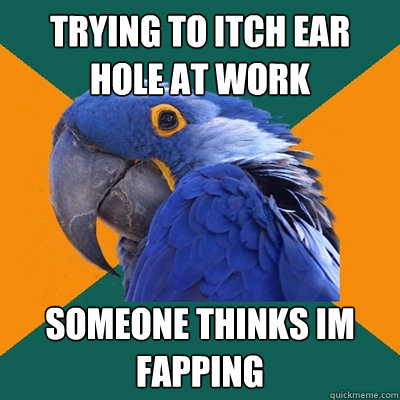 trying to itch ear hole at work someone thinks im fapping  Paranoid Parrot