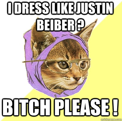 i dress like justin beiber ? BITCH PLEASE !  Hipster Kitty