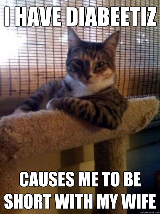 I have diabeetiz Causes me to be short with my wife  The Most Interesting Cat in the World