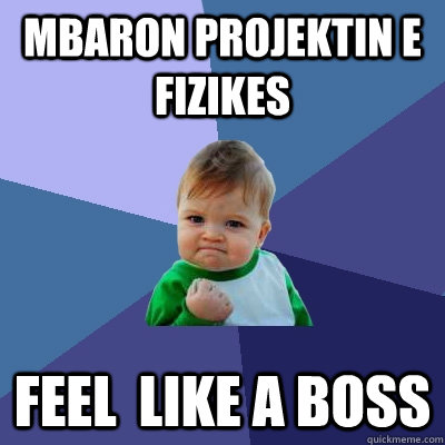 Mbaron projektin e fizikes  Feel  like a boss   Success Kid